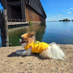 Parisian Pet 'Licker' Novelty Dog Apparel – Fun Embroidered Pet Wear for Dogs & Cats, Yellow