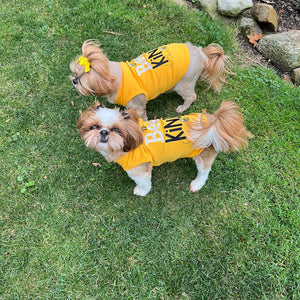 Parisian Pet 'Bee Kind' Embroidered Dog Shirt - Trendy Pet Apparel, Yellow