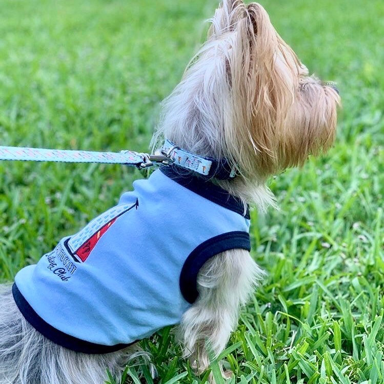 Parisian Pet 'Sailing Club' Dog Shirt – Nautical Embroidered Pet Apparel for Dogs & Cats, Light Blue