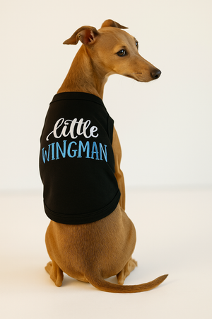 Parisian Pet 'Little Wingman' Winged Dog Shirt – Cool Adventure-Themed Shirt for Dogs & Cats, Black