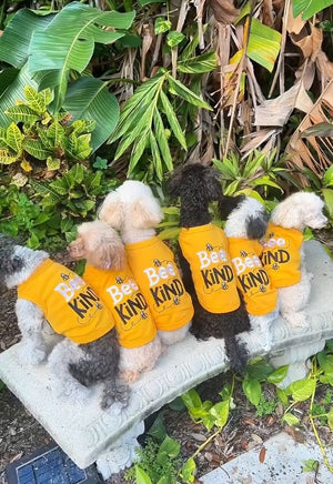 Parisian Pet 'Bee Kind' Embroidered Dog Shirt - Trendy Pet Apparel, Yellow