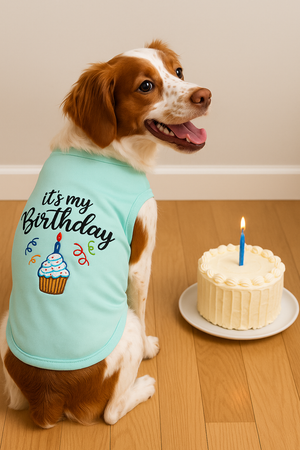 Parisian Pet 'Birthday Boy' Fun Slogan Dog T-Shirt –Premium Embroidered Celebratory Clothing for Dogs & Cats, Blue