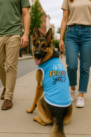 Parisian Pet 'Is It Friday Yet?' Embroidered Dog T-Shirt – Trendy Weekend Dog Apparel for Dogs & Cats, Light Blue