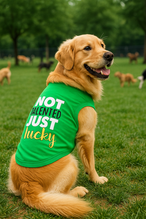 Parisian Pet 'Not Talented Just Lucky' Witty Dog Shirt – Trendy Slogan Pet Apparel for Dogs & Cats-Saint Patrick's Day